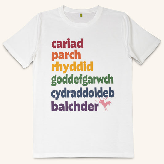 Organic cotton Pride t-shirt with Welsh slogan